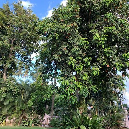 Bungalov  Dipolog Exteriér fotografie