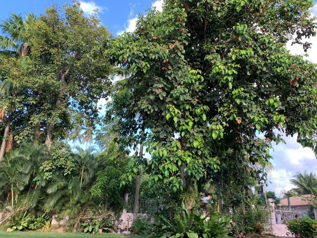 Bungalov  Dipolog Exteriér fotografie