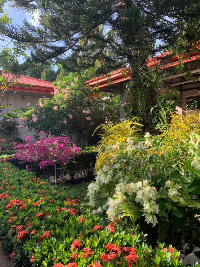 Bungalov  Dipolog Exteriér fotografie